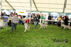 20100828_9999_42.jpg