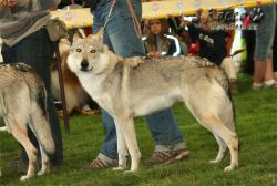 20100828_9999_45.jpg
