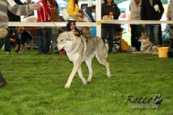 20100828_9999_47.jpg