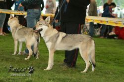 20100828_9999_48.jpg