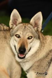 20100828_9999_49.jpg