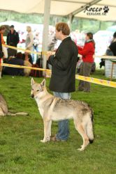 20100828_9999_59.jpg