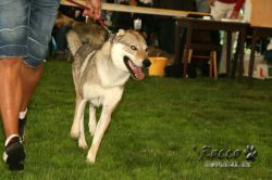 20100828_9999_6.jpg
