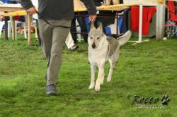 20100828_9999_60.jpg