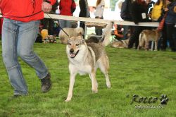 20100828_9999_61.jpg