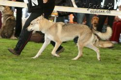 20100828_9999_64.jpg