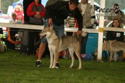 20100828_9999_7.jpg