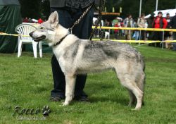 20100828_9999_77.jpg