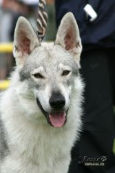 20100828_9999_81.jpg