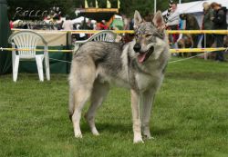 20100828_9999_84.jpg