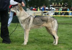 20100828_9999_86.jpg