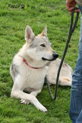 20100828_9999_98.jpg