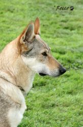 20100828_9999_99.jpg