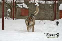 20101205_9999.jpg