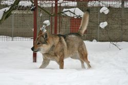 20101205_9999_1.jpg