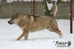 20101205_9999_2.jpg