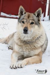 20101210_9999_15.jpg