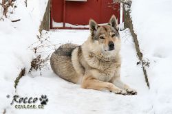 20101210_9999_6.jpg