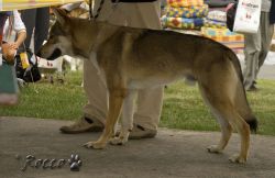 IMG_0007.jpg