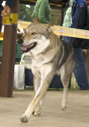 IMG_0015.jpg