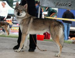 IMG_0025.jpg