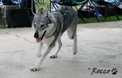 IMG_0042.jpg