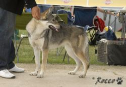 IMG_0057.jpg