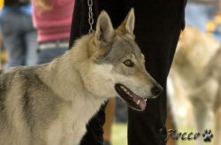 IMG_0059.jpg