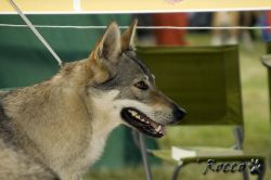 IMG_0064.jpg
