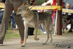 IMG_0077.jpg