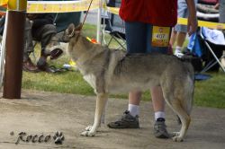 IMG_0117.jpg
