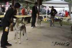 IMG_0120.jpg