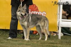 IMG_0178.jpg