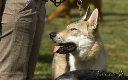 IMG_0205.jpg