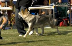 IMG_0212.jpg