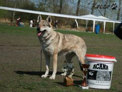 KV_Horovice09-392.jpg
