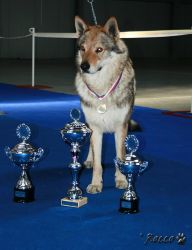 MVP_praha-156.jpg