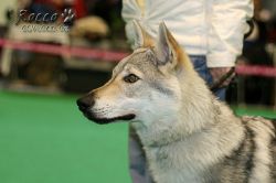 b_arqeva08.jpg