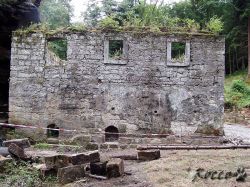 dolak08.jpg