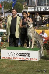 mio_mb_04.jpg