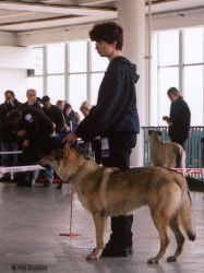 msvbrno2002_12.jpg