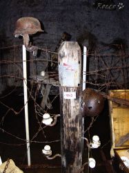 pa_06.jpg
