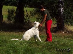 zkousky_zzo02.jpg