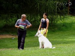 zkousky_zzo09.jpg