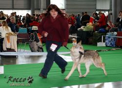 293_01.jpg