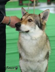 296_01.jpg