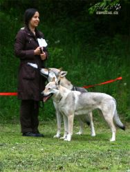 20100508_9397.jpg