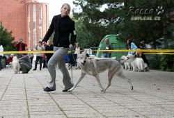254_01.jpg