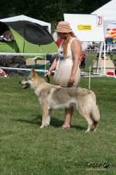 167_01.jpg