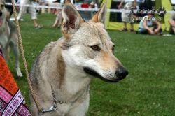 194_02.jpg